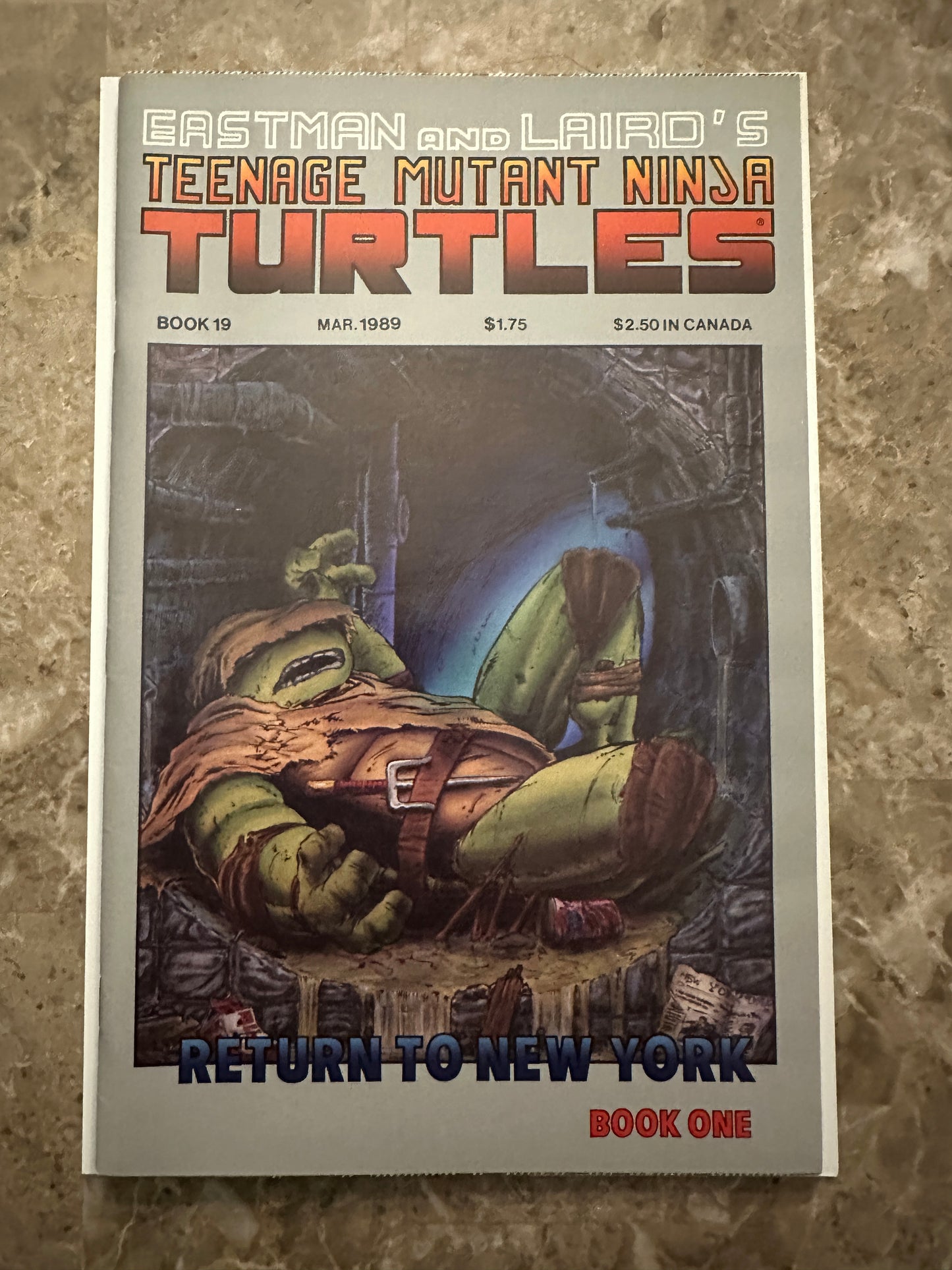 Teenage Mutant Ninja Turtles #19 VF/NM 9.0 (1989 Mirage Studios)