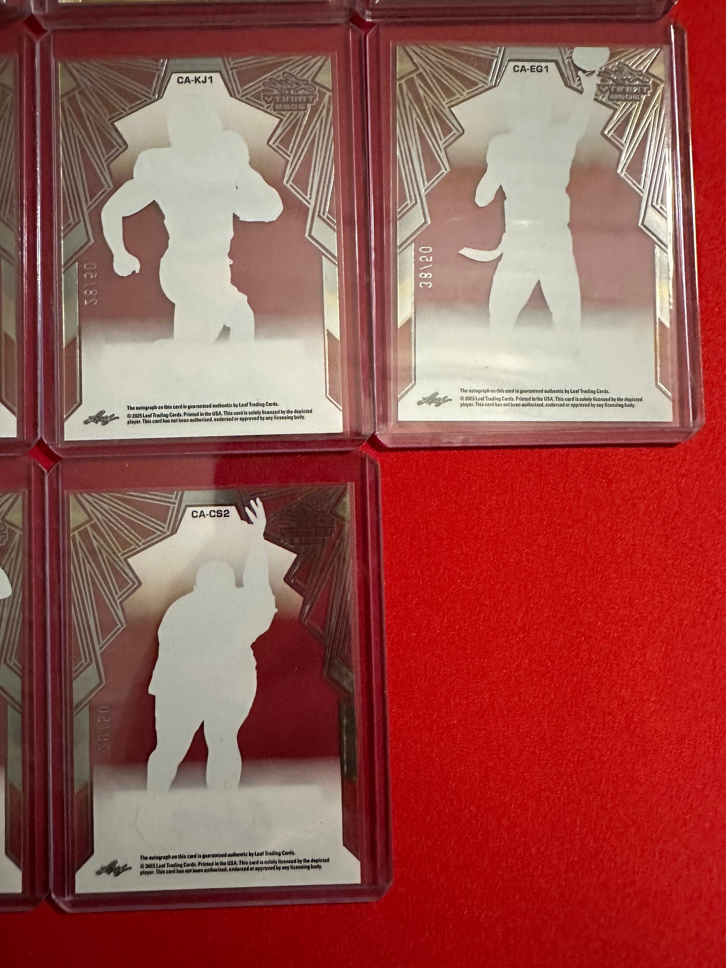 Huge Trinity Auto Lot 17x RC Autos 2025 Leaf Trinity SP