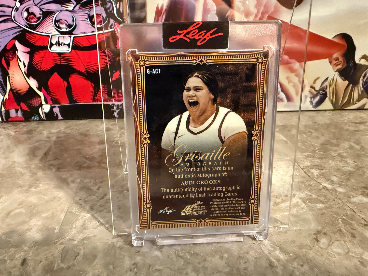 Audi Crooks 2026 Leaf Art of Sport Grisaille Auto Bronze /15