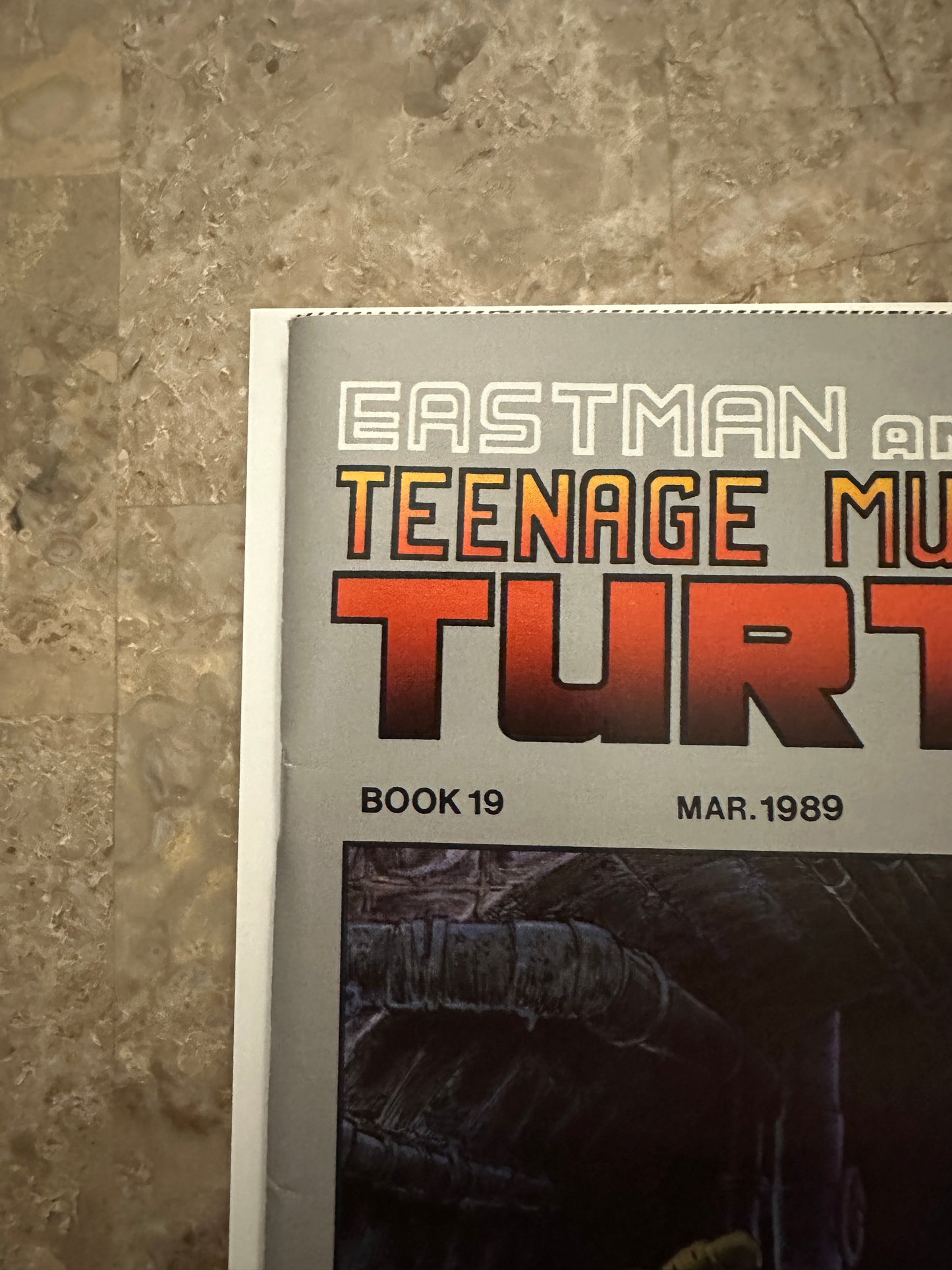 Teenage Mutant Ninja Turtles #19 VF 8.0-8.5 (1989 Mirage Studios)