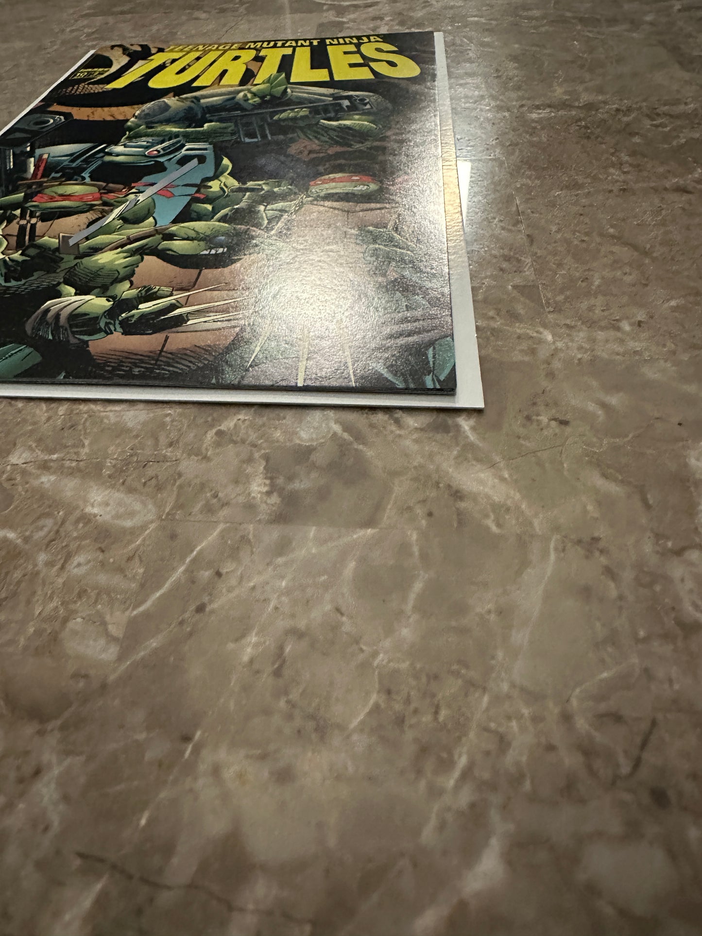 Teenage Mutant Ninja Turtles #10 VF 8.0 (1996 Image Comics)