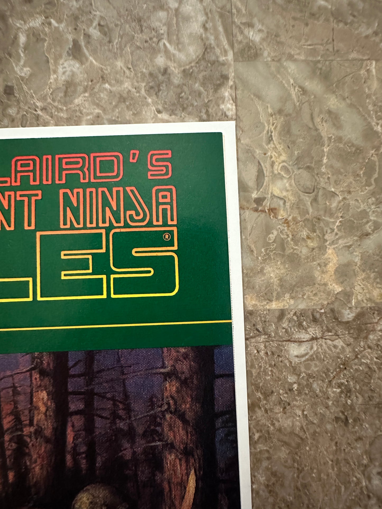 Teenage Mutant Ninja Turtles #31 VF/NM 9.0 (1990 Mirage Studios)