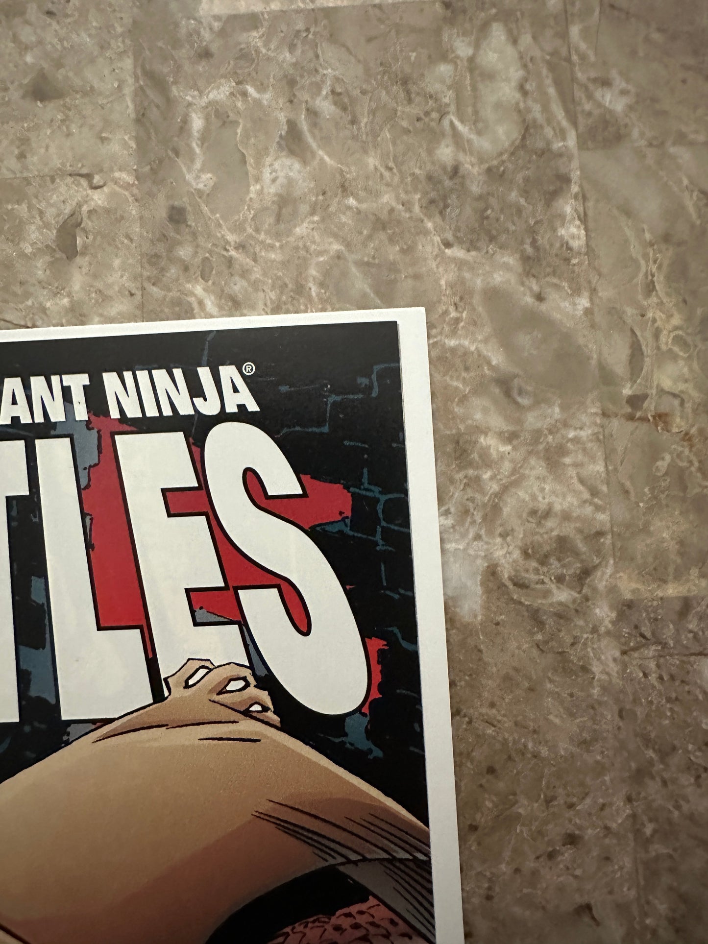 Teenage Mutant Ninja Turtles #5 VF/NM 9.0 (1996 Image)