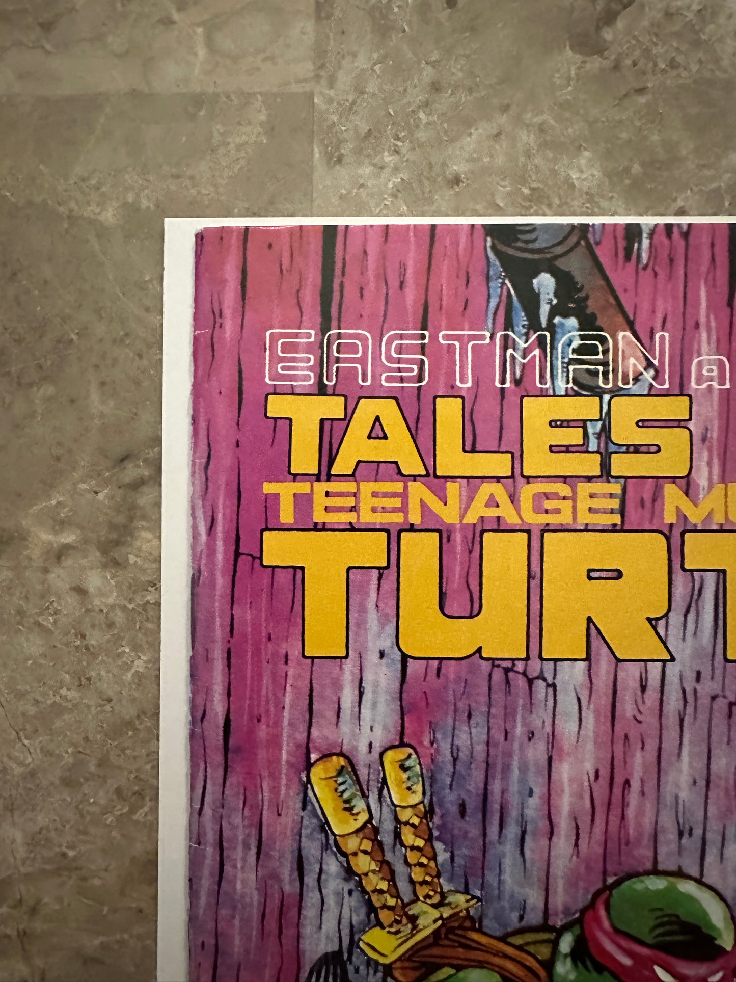 Tales of the Teenage Mutant Ninja Turtles #1 VF+ 8.5 (1987 Mirage Studios)