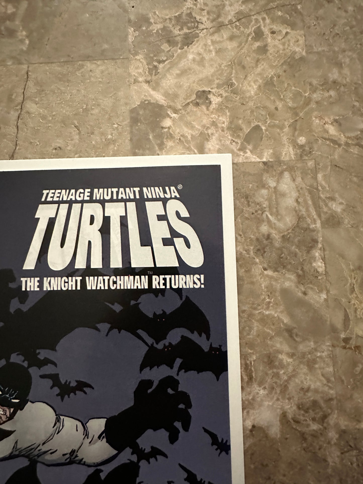 Teenage Mutant Ninja Turtles #9 VF- 7.5 (1996 Image Comics)