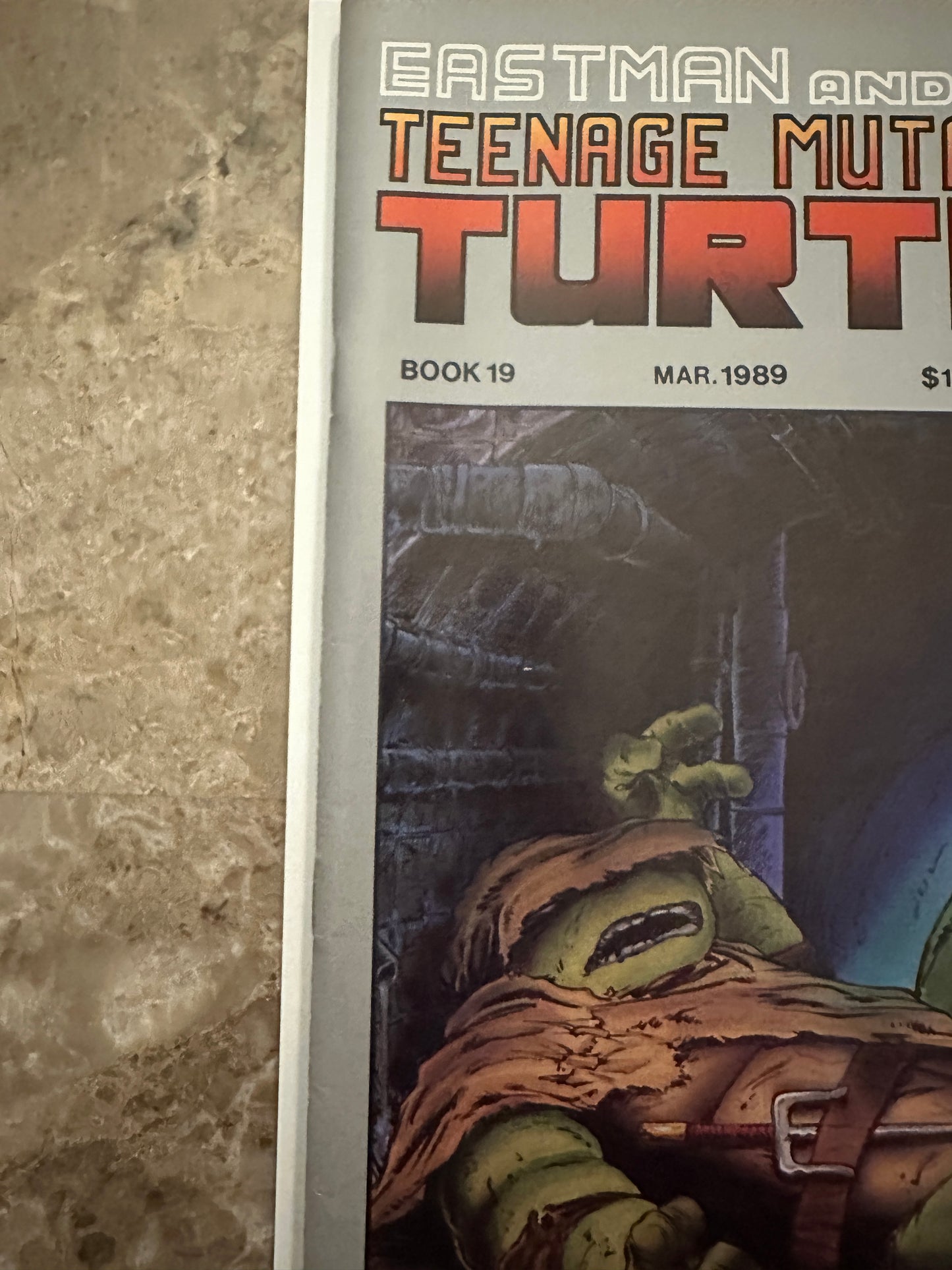 Teenage Mutant Ninja Turtles #19 VF/NM 9.0 (1989 Mirage Studios)