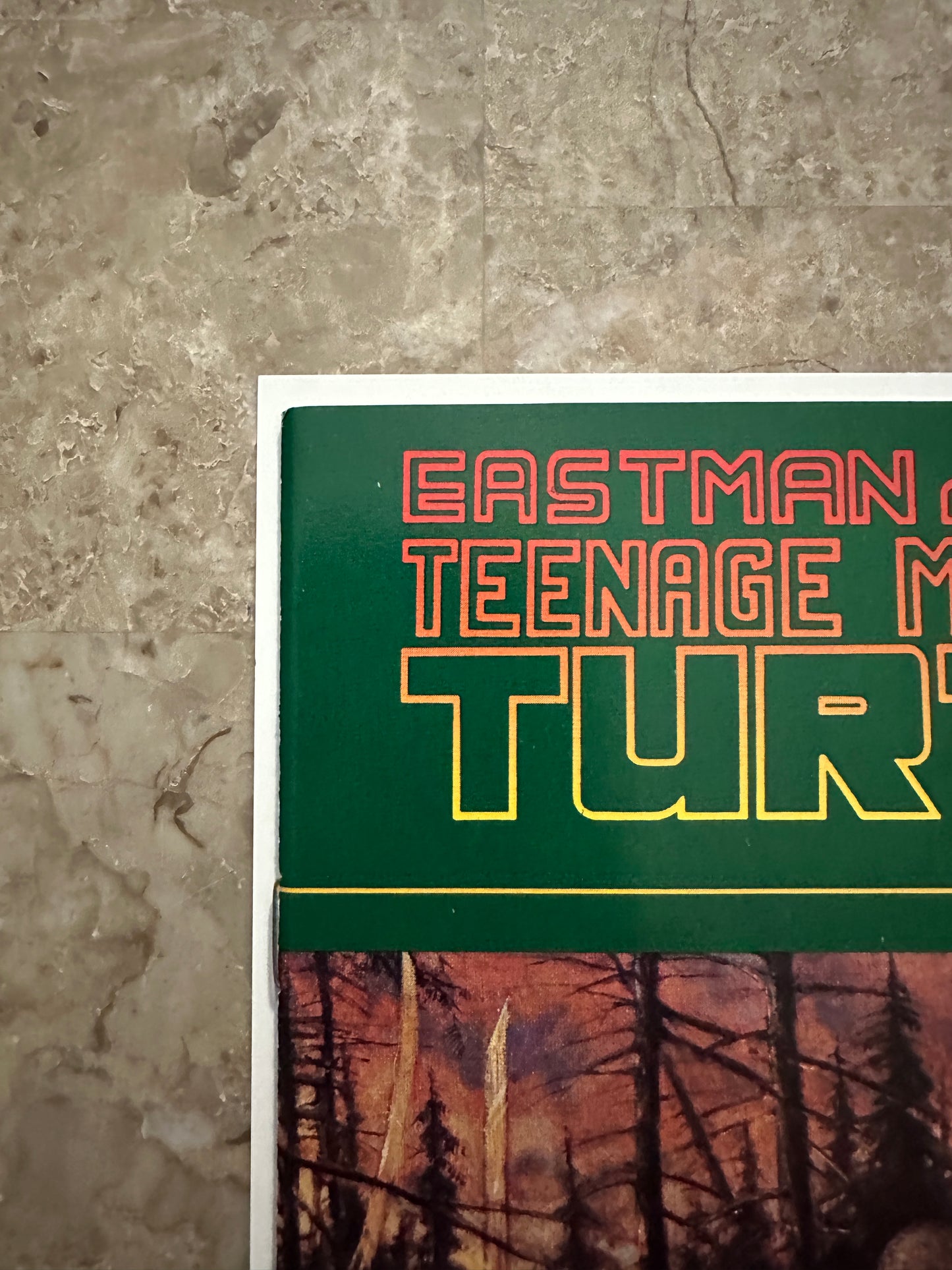 Teenage Mutant Ninja Turtles #31 VF/NM 9.0 (1990 Mirage Studios)