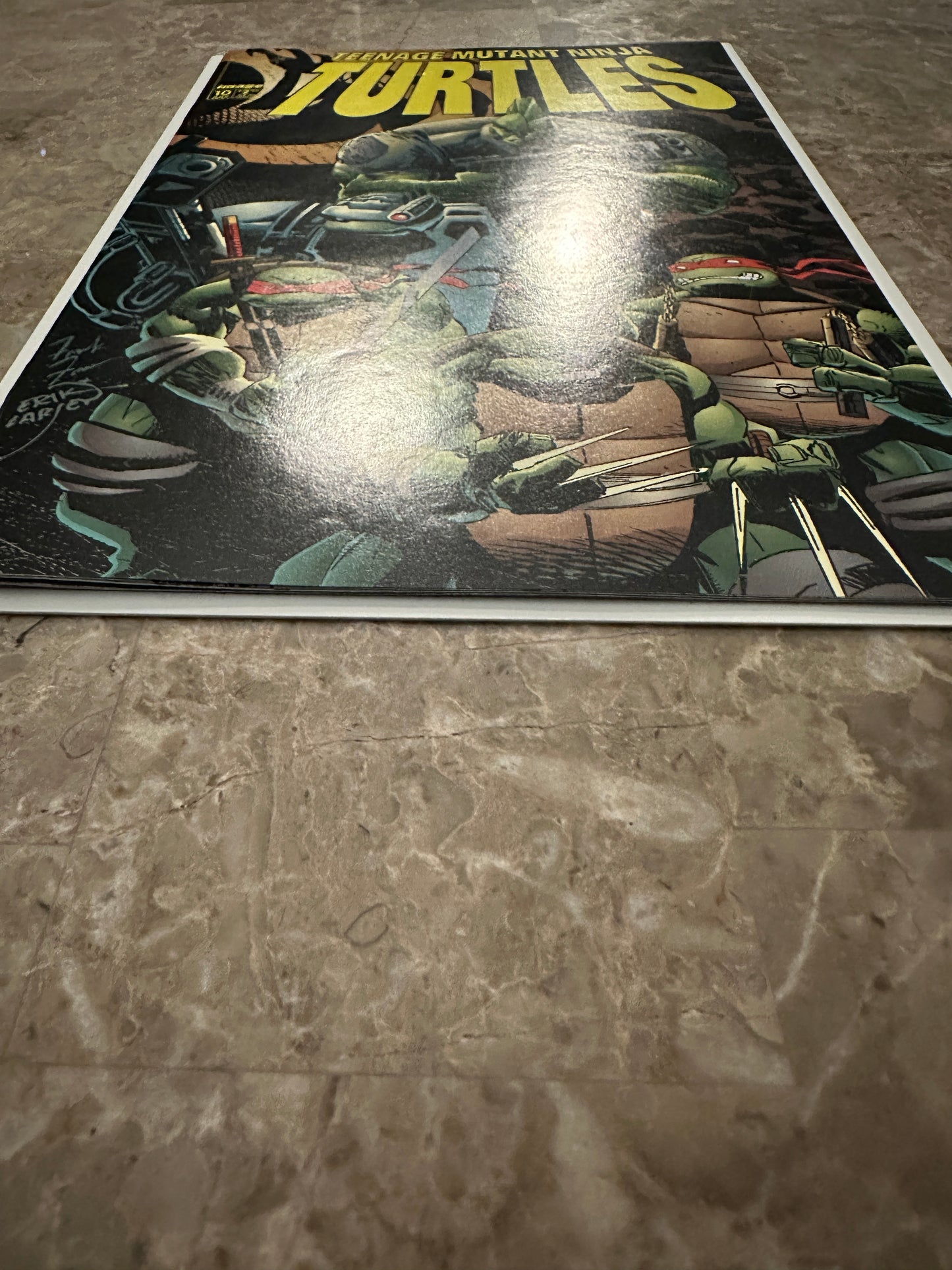 Teenage Mutant Ninja Turtles #10 VF 8.0 (1996 Image Comics)