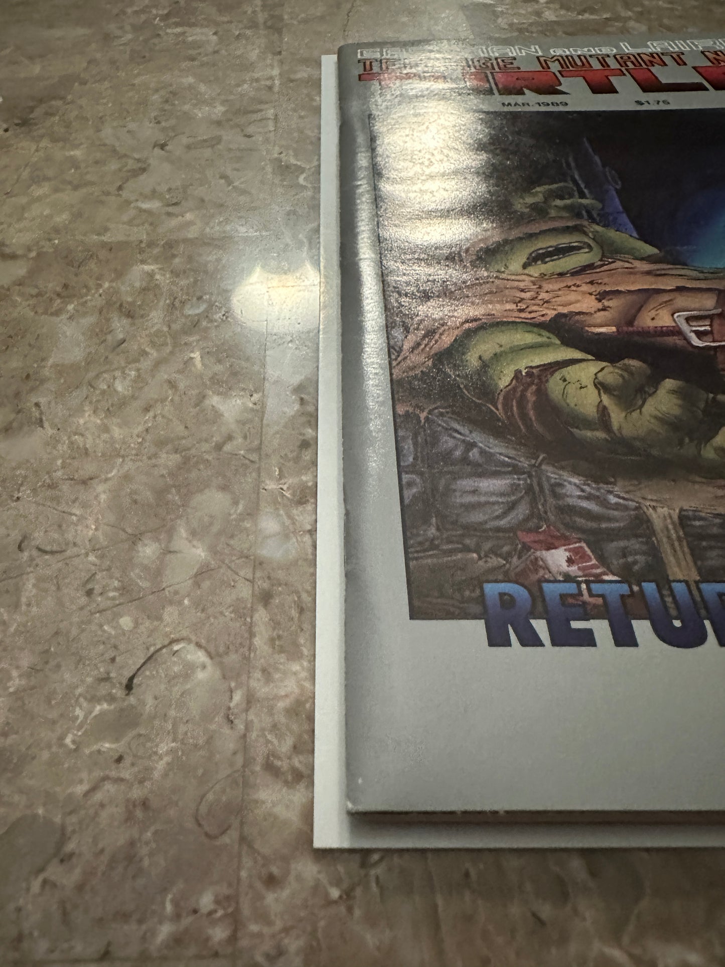 Teenage Mutant Ninja Turtles #19 VF 8.0-8.5 (1989 Mirage Studios)