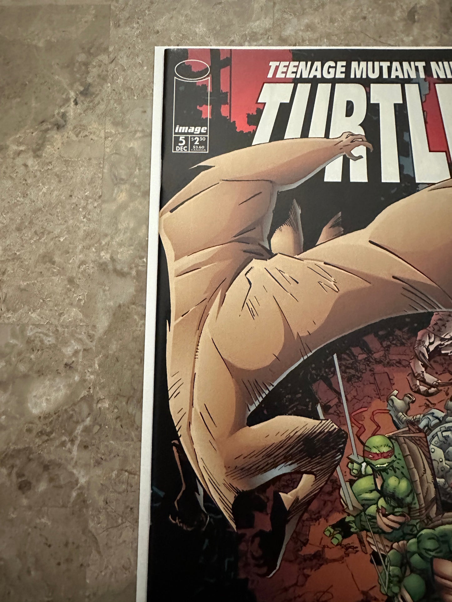Teenage Mutant Ninja Turtles #5 VF/NM 9.0 (1996 Image)