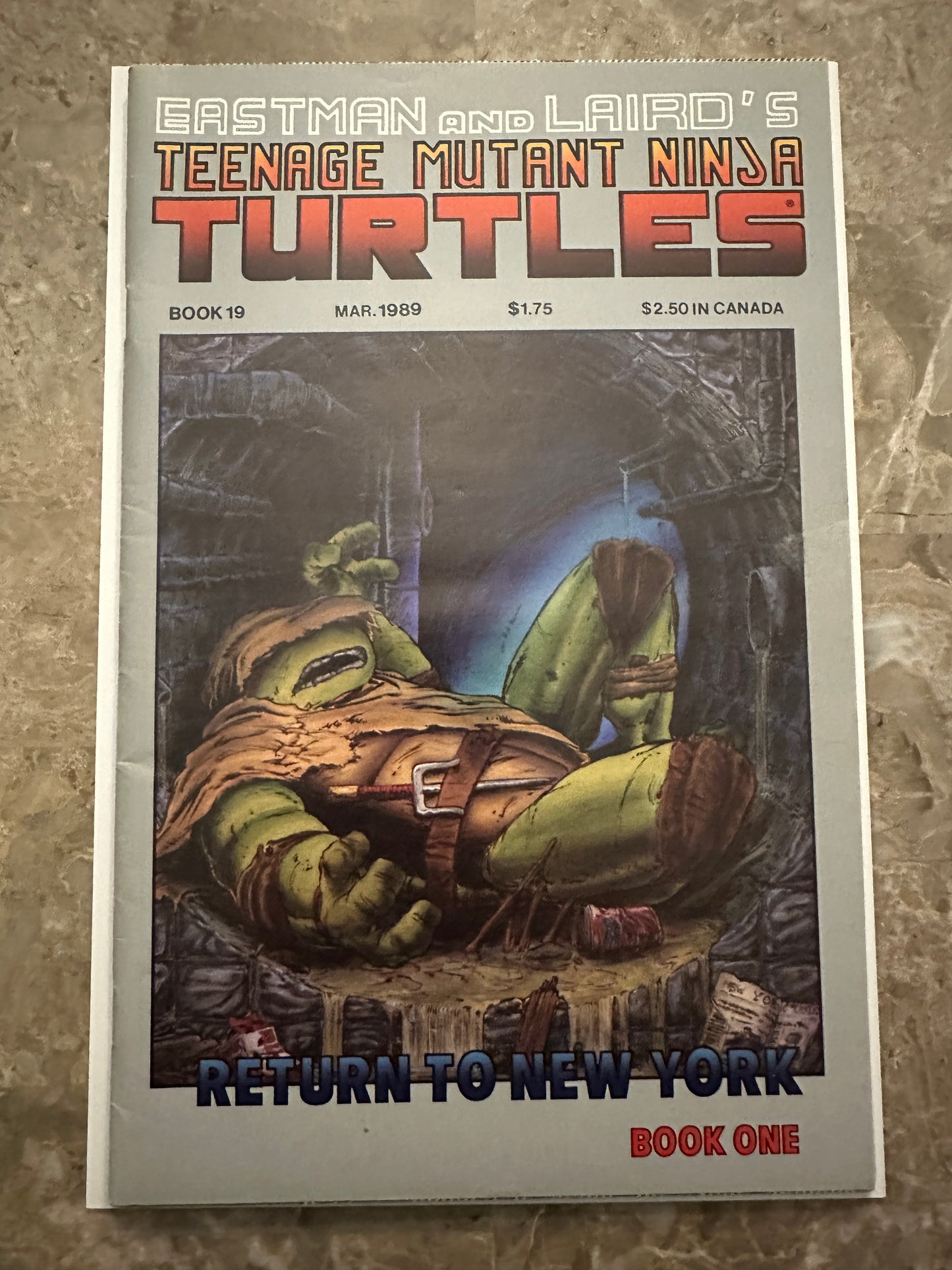 Teenage Mutant Ninja Turtles #19 FN+ 6.5 (1989 Mirage Studios)