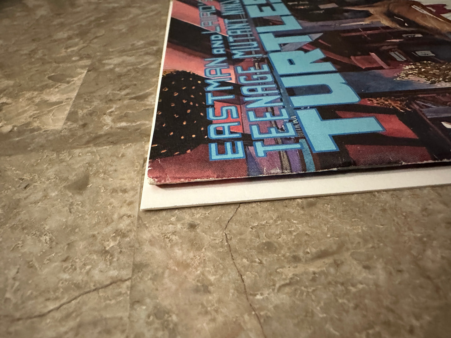 Teenage Mutant Ninja Turtles #23 FN 6.0 (1989 Mirage Studios)