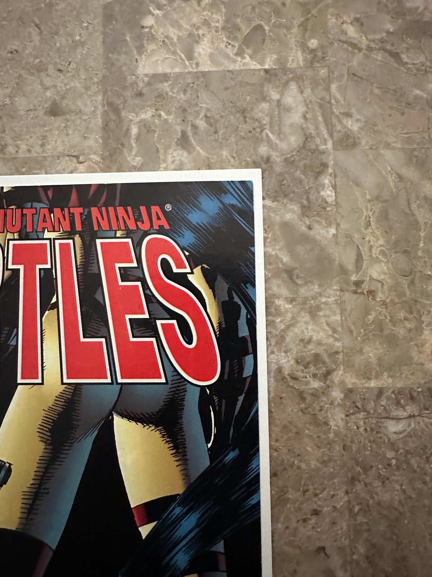 Teenage Mutant Ninja Turtles #2 FN+ 6.5 (1996 Image)