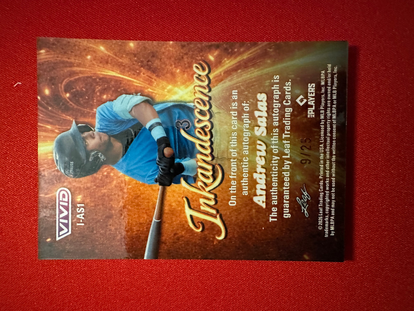 2026 Leaf Vivid Baseball Inkadescence Techno-Foil Teal Andrew Salas Autograph 9/25