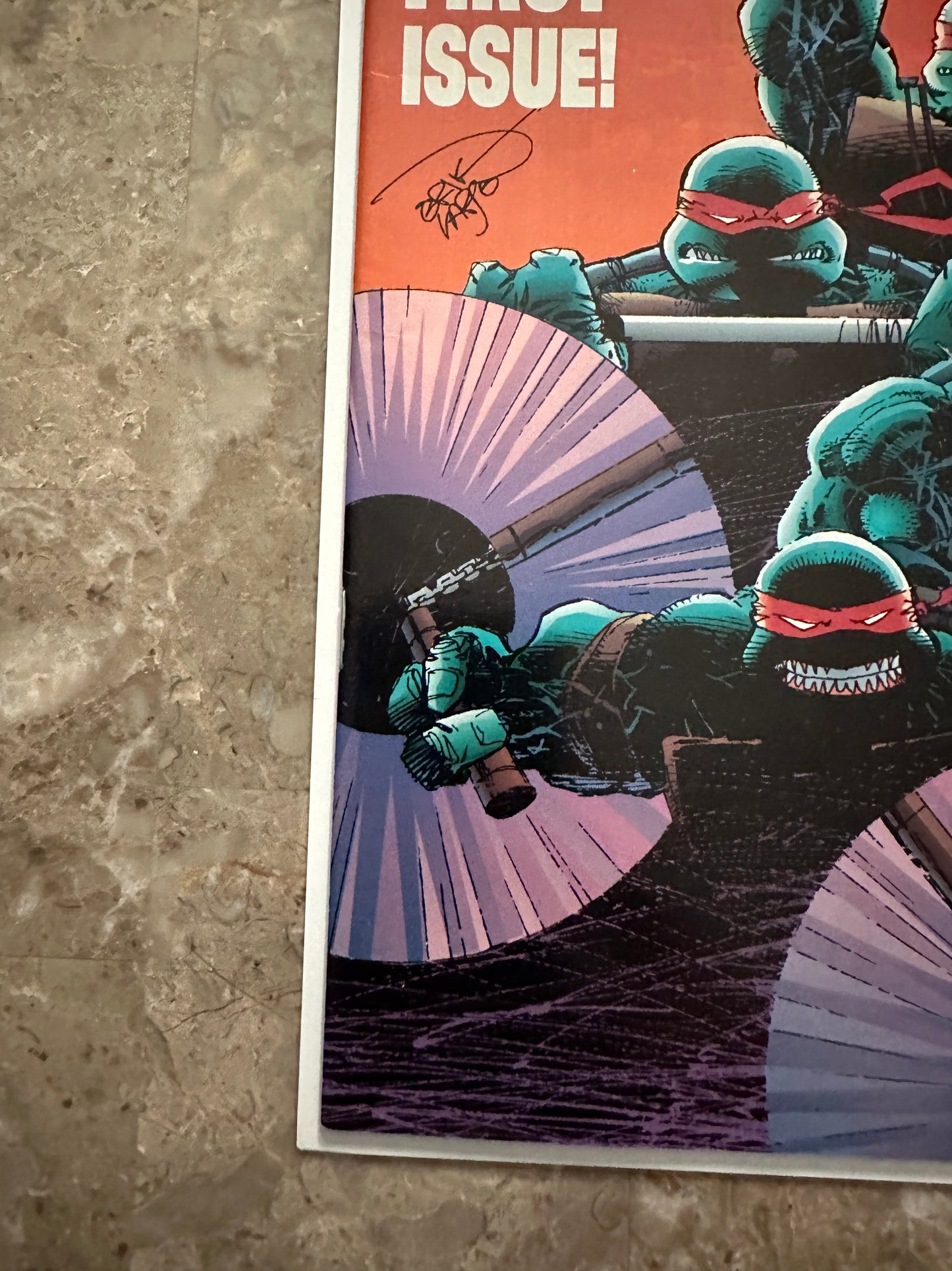 Teenage Mutant Ninja Turtles #1 VF- 7.5 (1996 Image Comics)