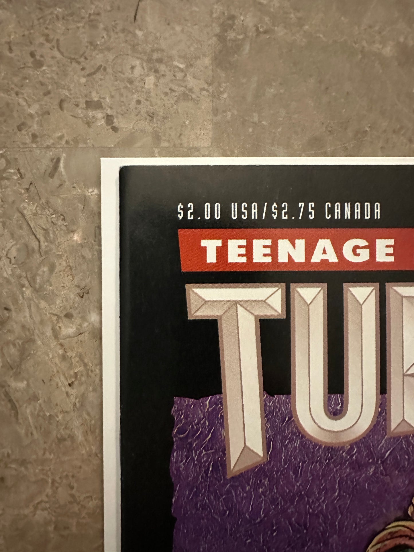 Teenage Mutant Ninja Turtles #51 VF 8.0-8.5 (1992 Mirage)
