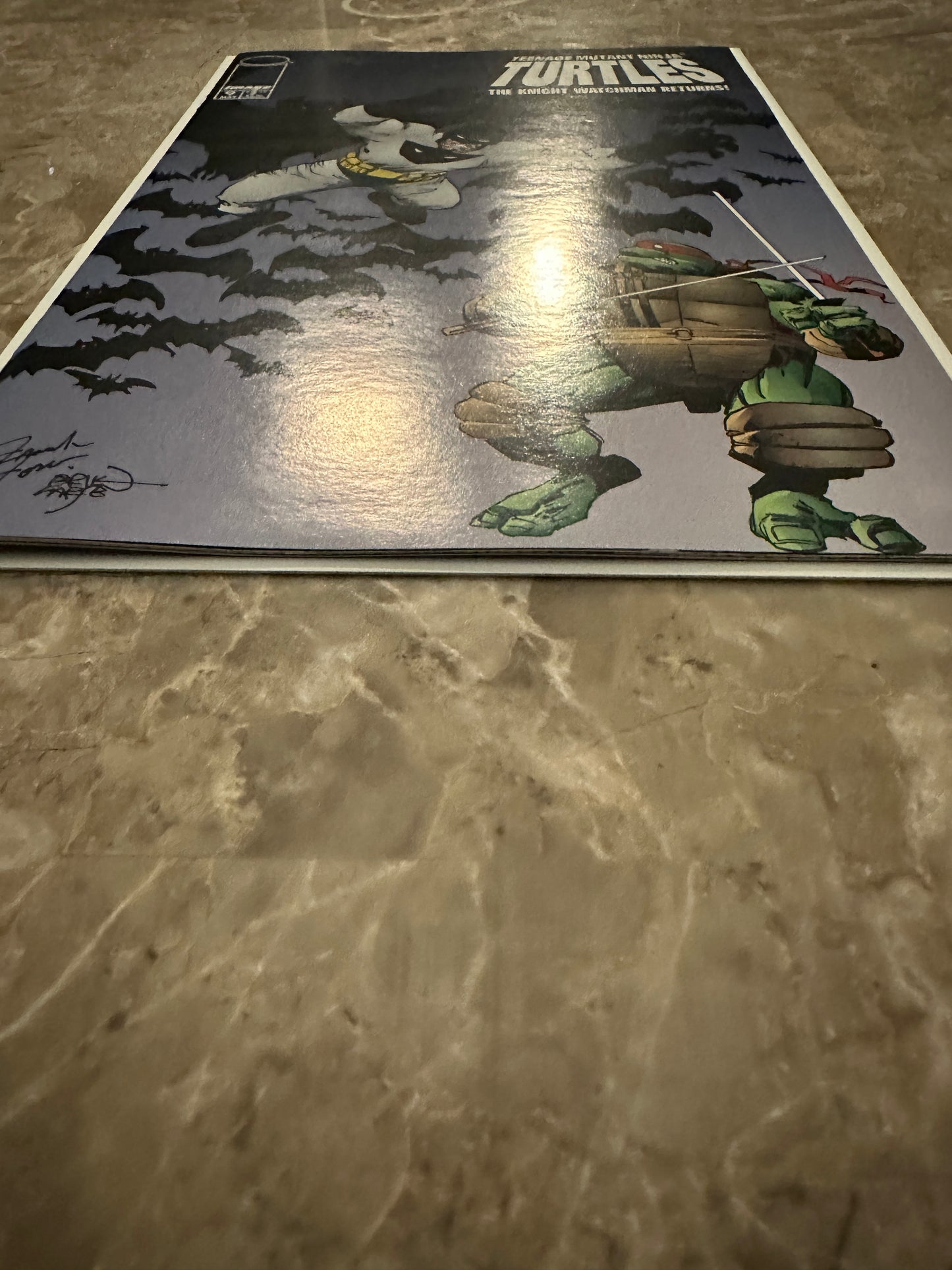 Teenage Mutant Ninja Turtles #9 VF- 7.5 (1996 Image Comics)