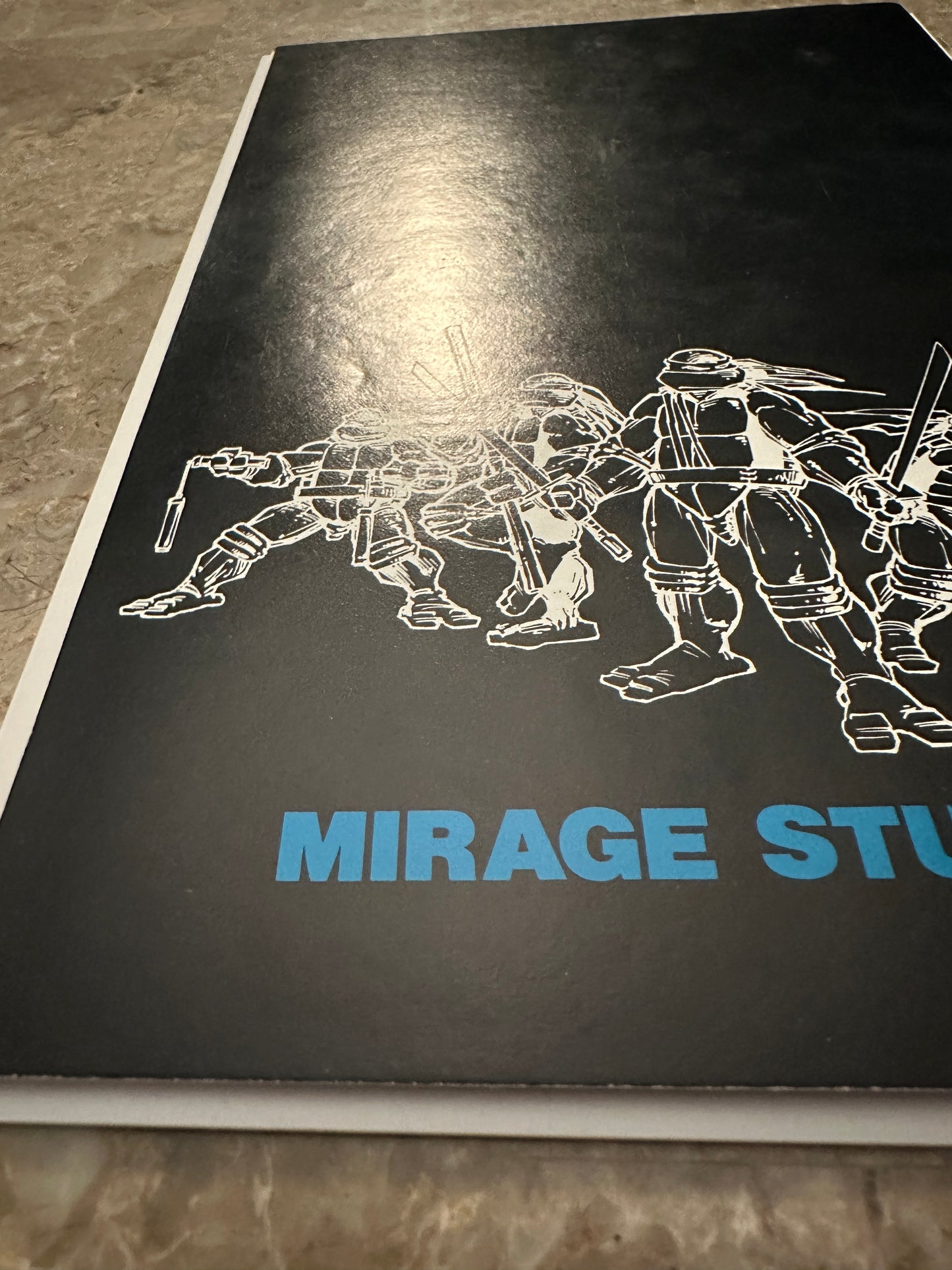 Teenage Mutant Ninja Turtles #13 VF 8.0-8.5 (1988 Mirage)