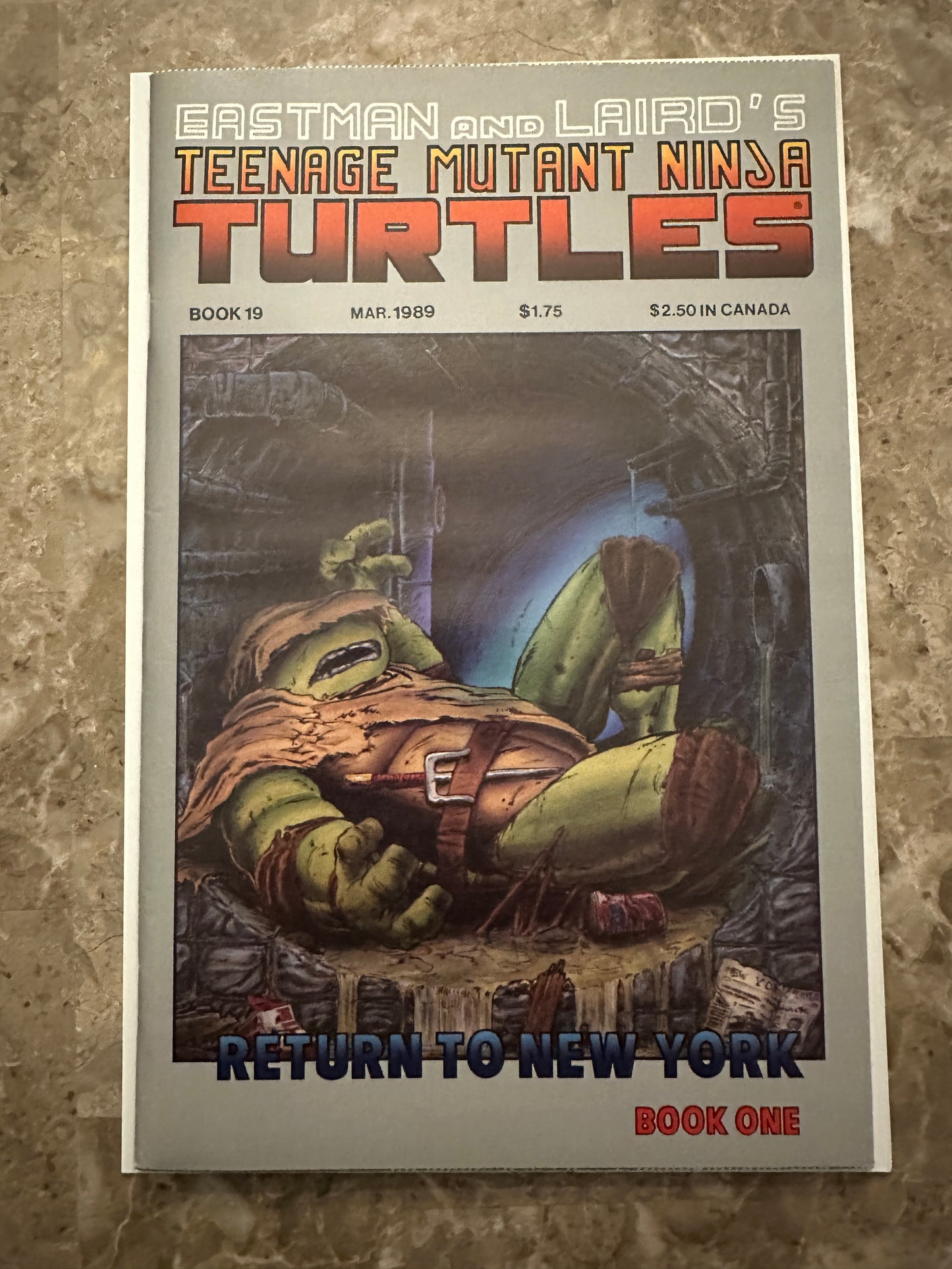 Teenage Mutant Ninja Turtles #19 VF 8.0-8.5 (1989 Mirage Studios)