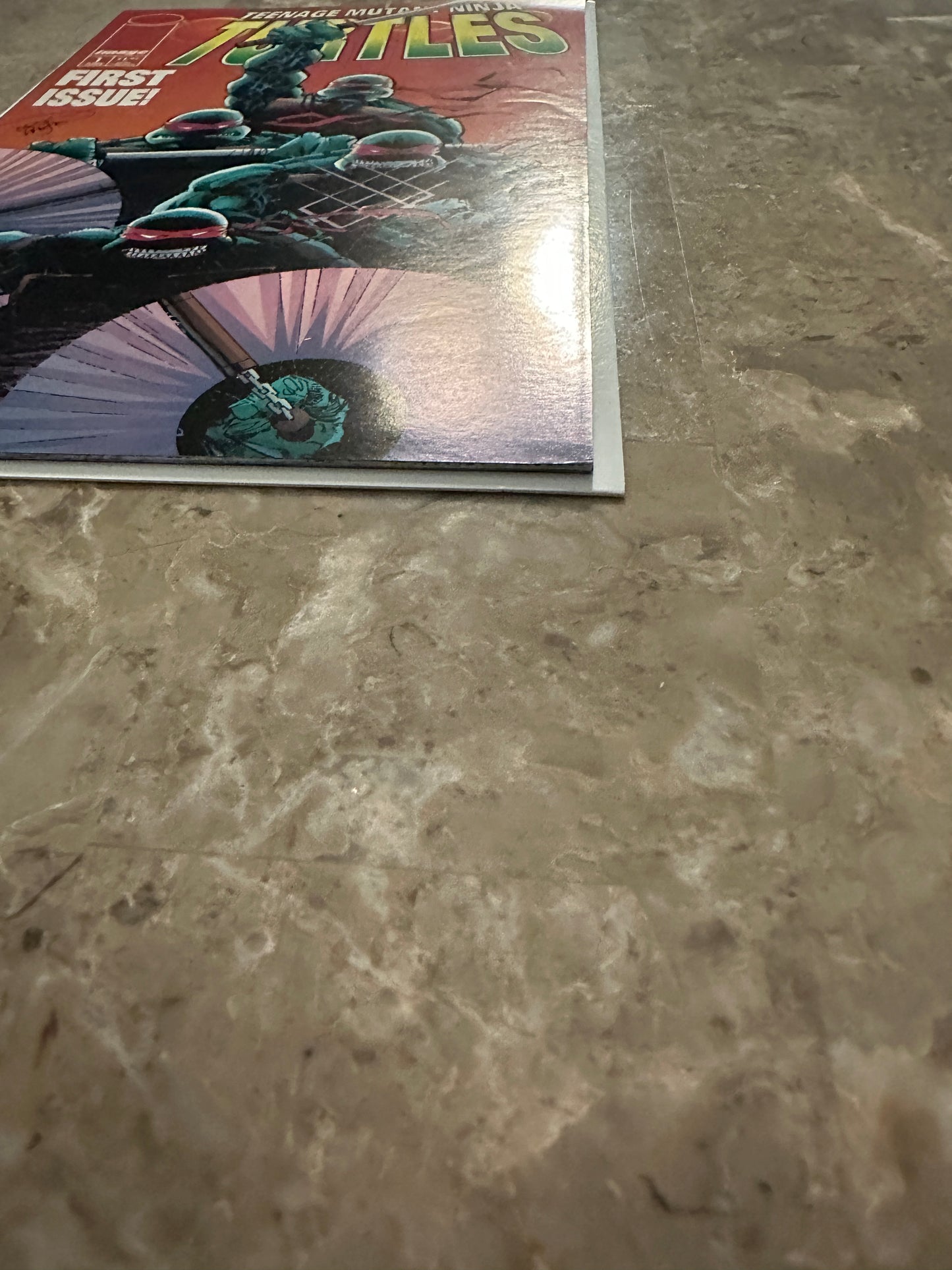 Teenage Mutant Ninja Turtles #1 VF- 7.5 (1996 Image Comics)
