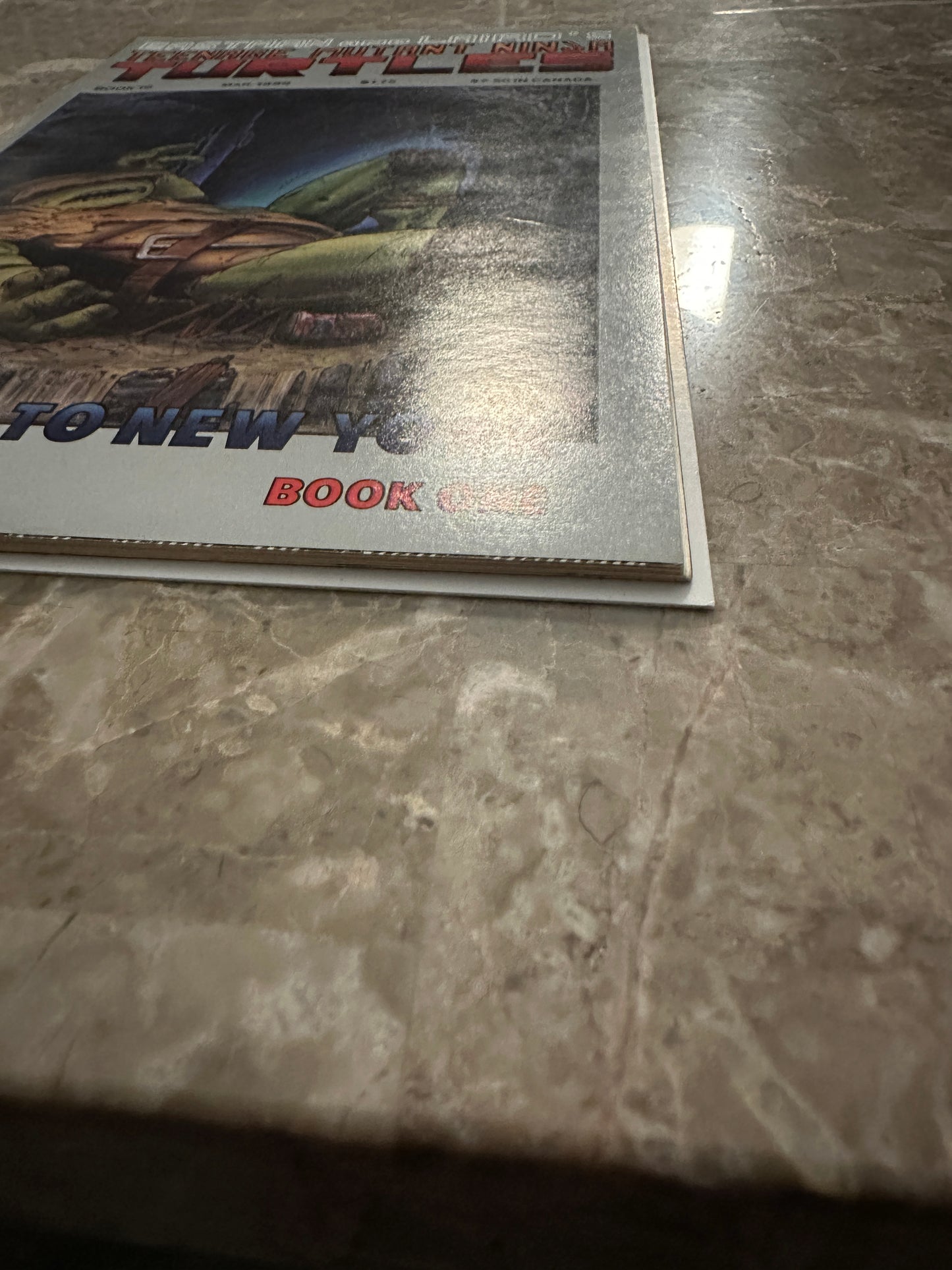 Teenage Mutant Ninja Turtles #19 FN+ 6.5 (1989 Mirage Studios)