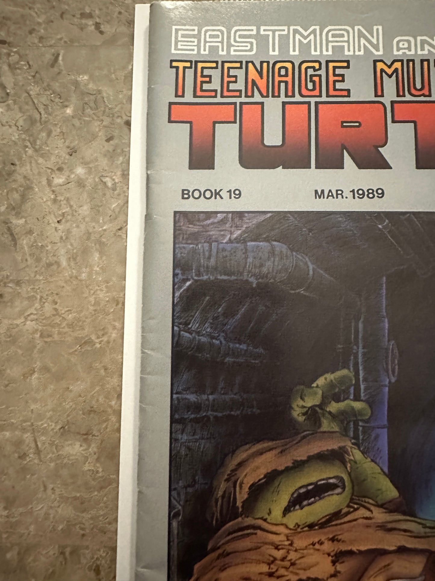 Teenage Mutant Ninja Turtles #19 FN+ 6.5 (1989 Mirage Studios)