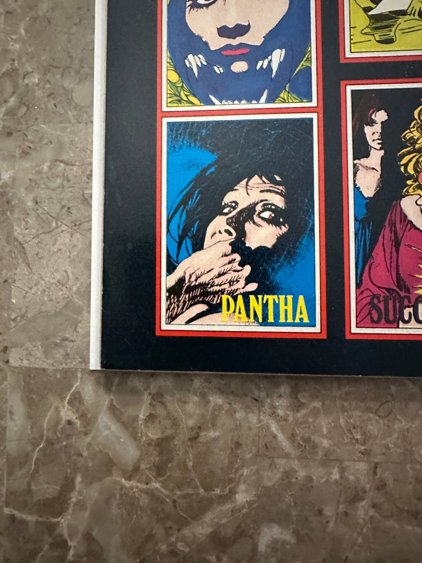 Vampirella #43 FN- 5.5 (1975 Warren Publishing)