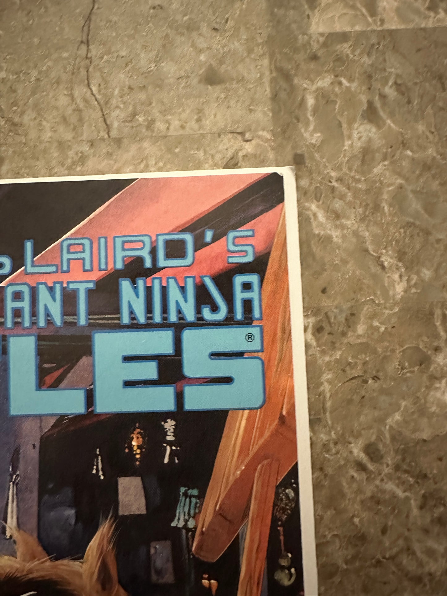 Teenage Mutant Ninja Turtles #23 FN 6.0 (1989 Mirage Studios)