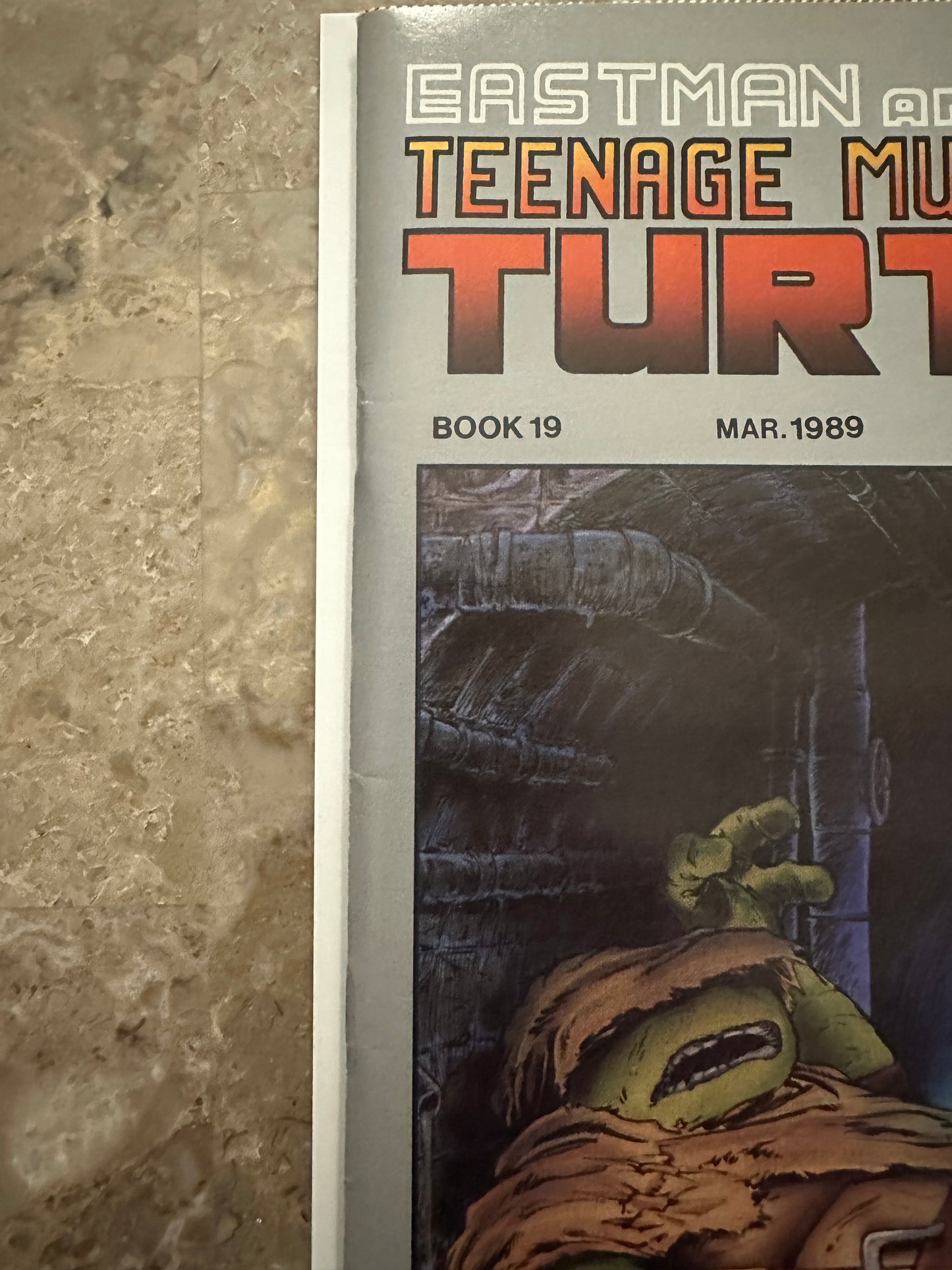 Teenage Mutant Ninja Turtles #19 VF 8.0-8.5 (1989 Mirage Studios)