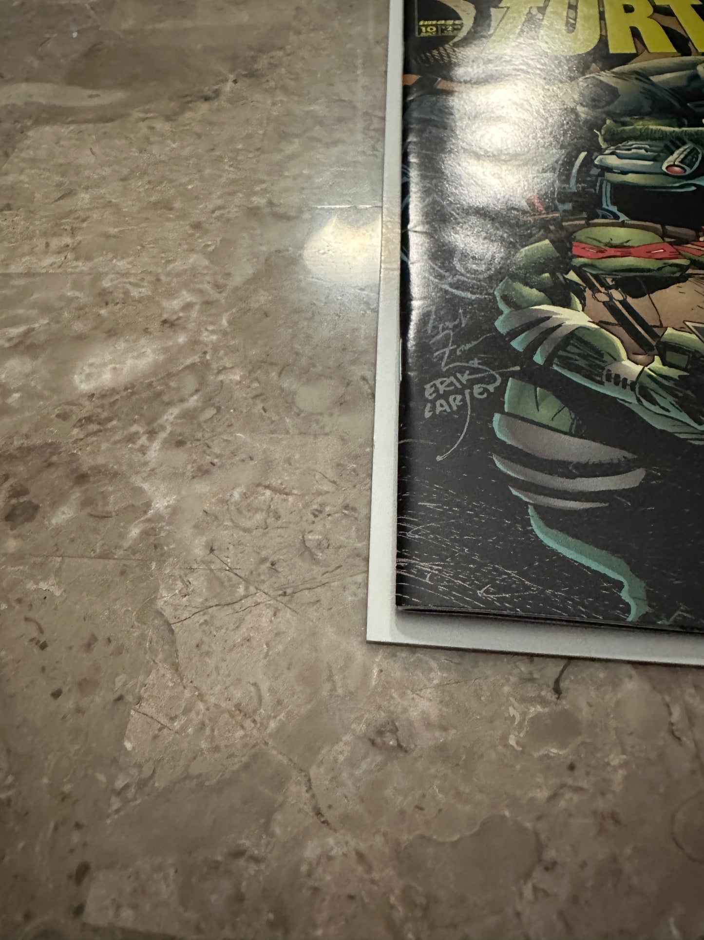 Teenage Mutant Ninja Turtles #10 VF 8.0 (1996 Image Comics)