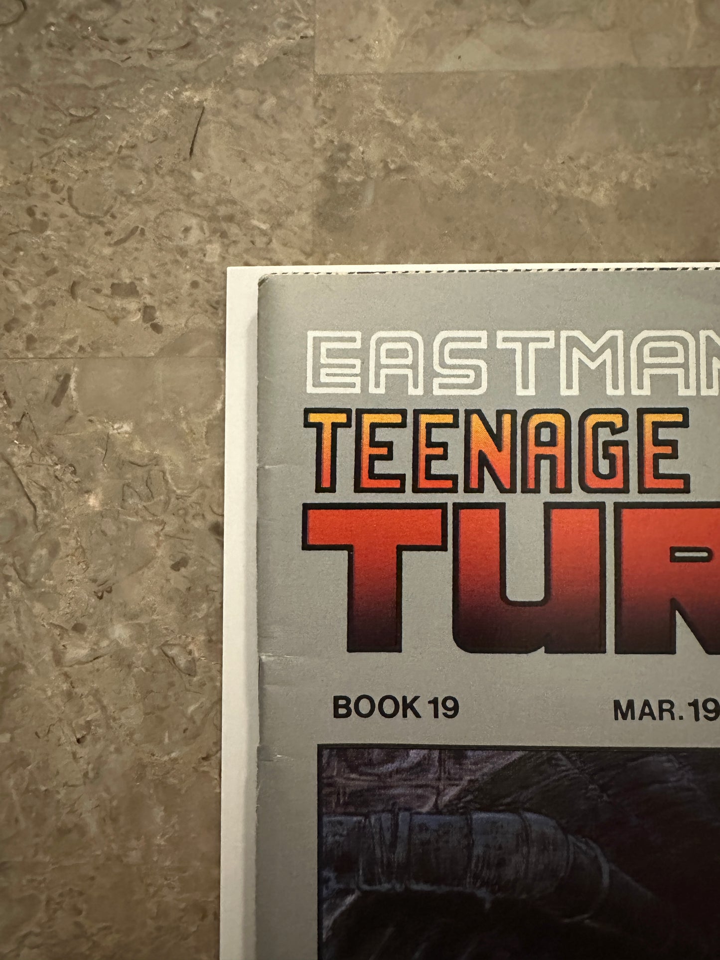 Teenage Mutant Ninja Turtles #19 FN+ 6.5 (1989 Mirage Studios)