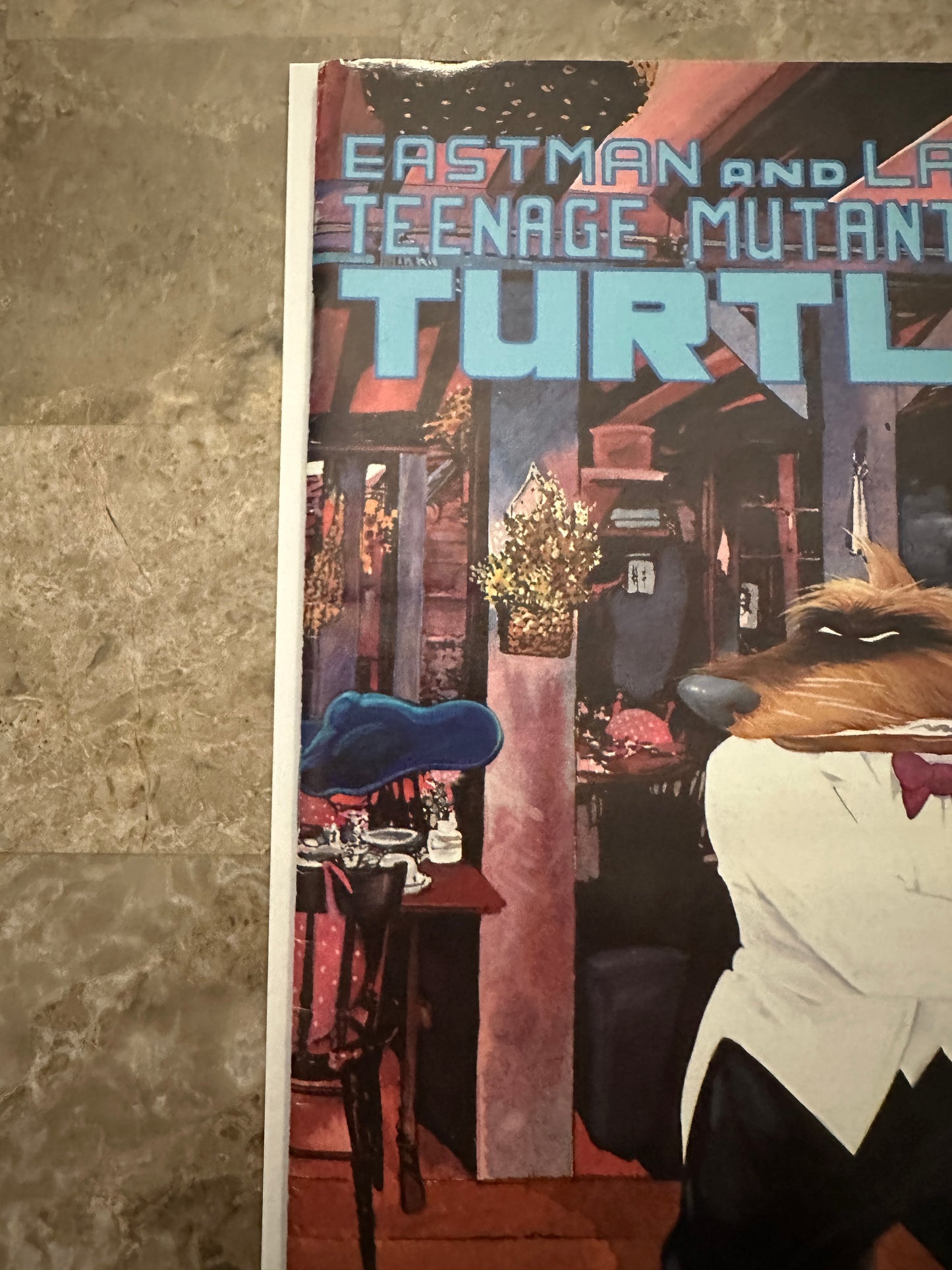 Teenage Mutant Ninja Turtles #23 FN 6.0 (1989 Mirage Studios)
