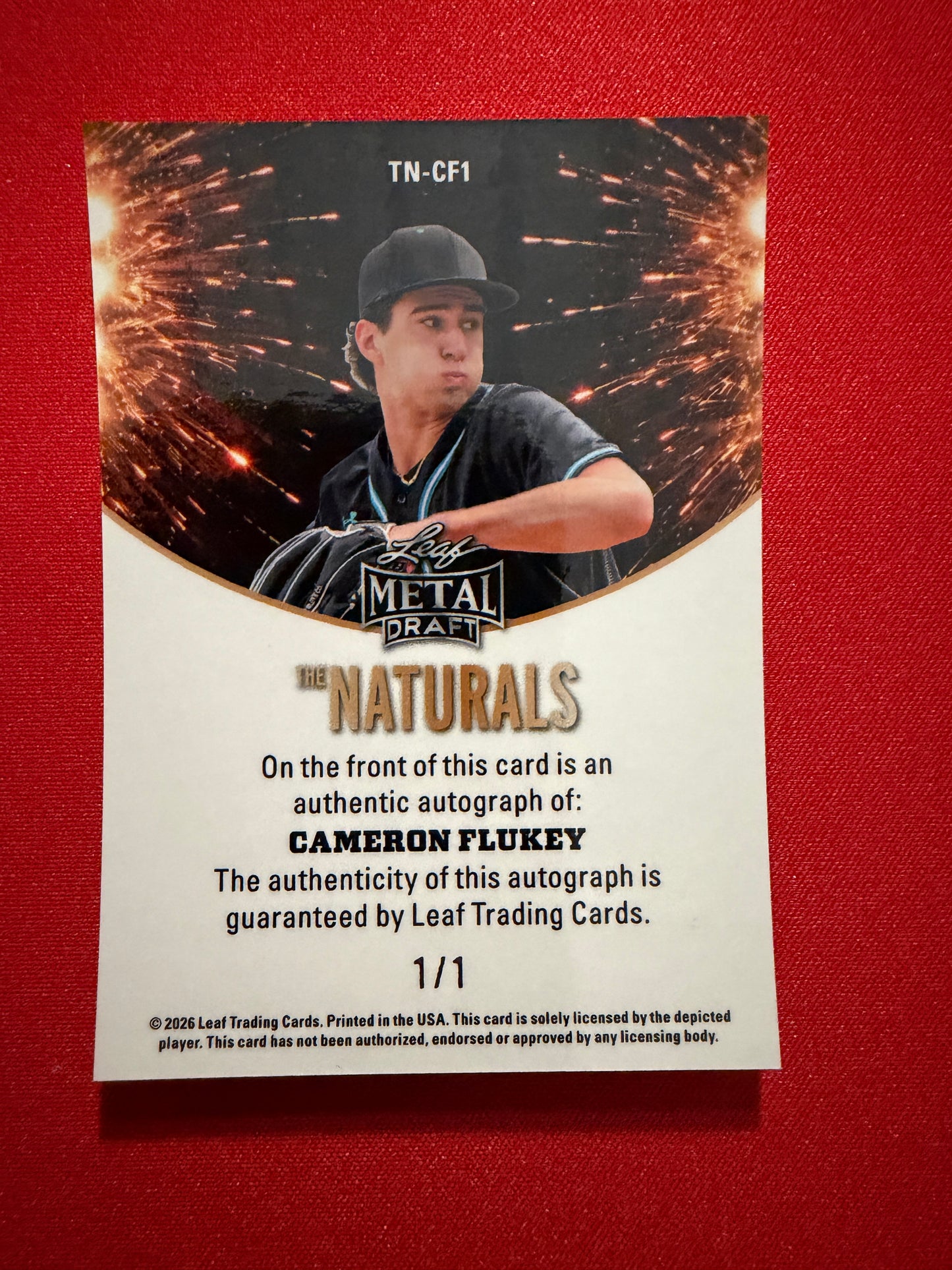 Cameron Flukey 2026 Leaf Metal Draft Edition Baseball The Naturals Auto Gold 1/1