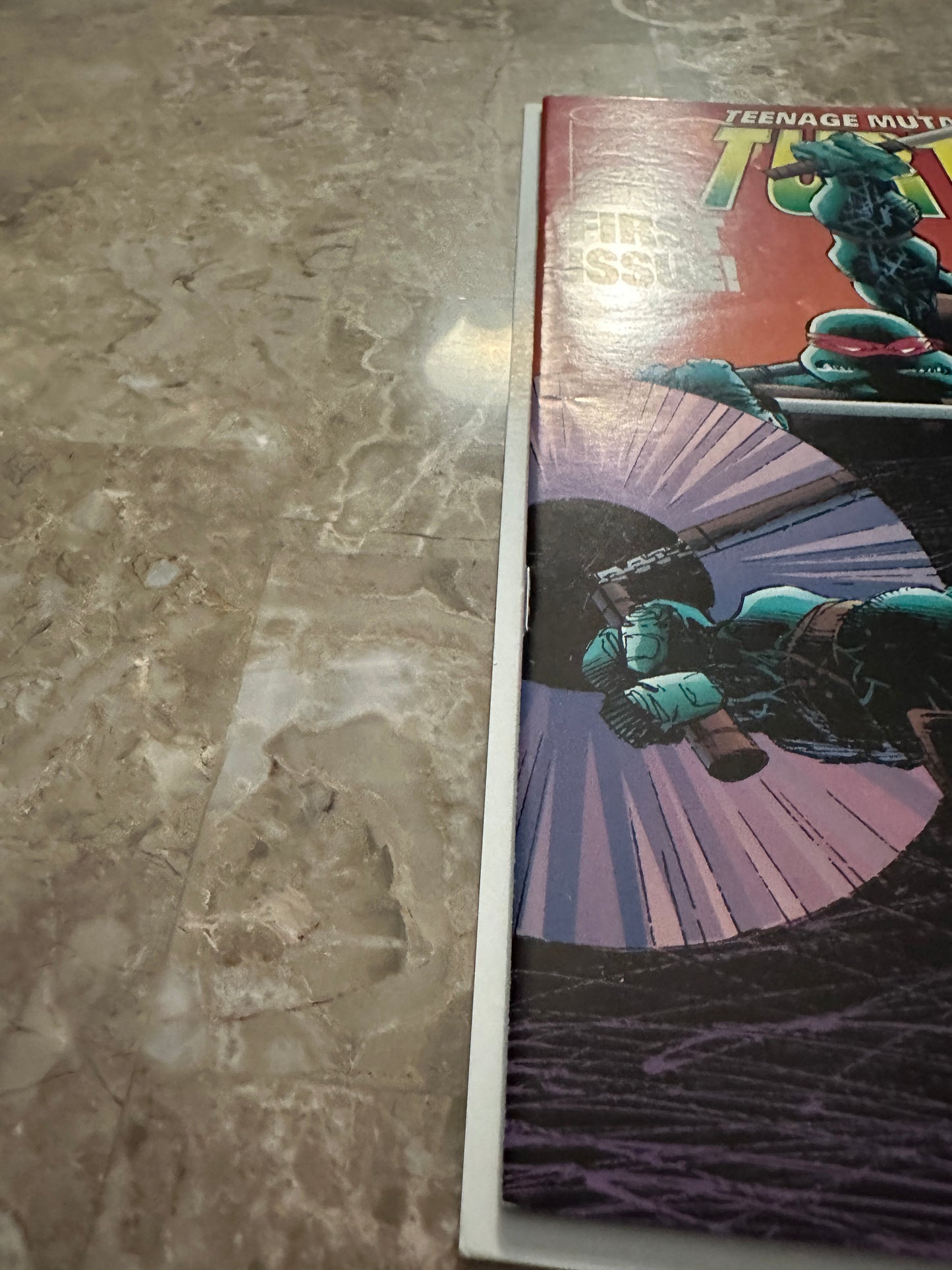 Teenage Mutant Ninja Turtles #1 VF- 7.5 (1996 Image Comics)
