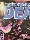 WALKING DEAD #29 EARLY RUN ROBERT KIRKMAN IMAGE (2005) NM-