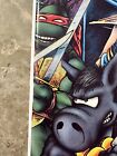 Teenage Mutant Ninja Turtles #8 (1986 Mirage Studios) - NM-