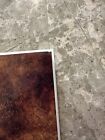 Teenage Mutant Ninja Turtles The Collected Book Vol. 2 & 3 (1990) - High Grade
