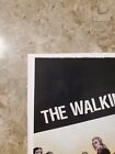 WALKING DEAD #40 EARLY RUN ROBERT KIRKMAN IMAGE (2007) NM