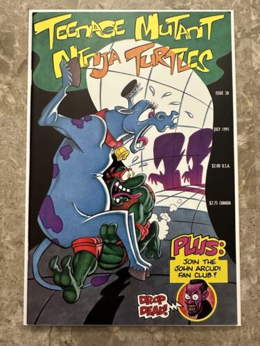 Teenage Mutant Ninja Turtles #38 NM+ (1991 Mirage Studios) - Very High Grade