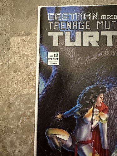 Teenage Mutant Ninja Turtles #13 VF+ 8.5 (1988 Mirage Studios)