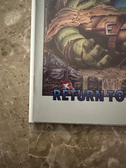 Teenage Mutant Ninja Turtles #19 VF/NM 9.0 (1989 Mirage Studios)