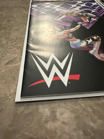 WWE #1-7,9-15,17-25 Near Full Run of 24 Higher Grade (Boom 2019)