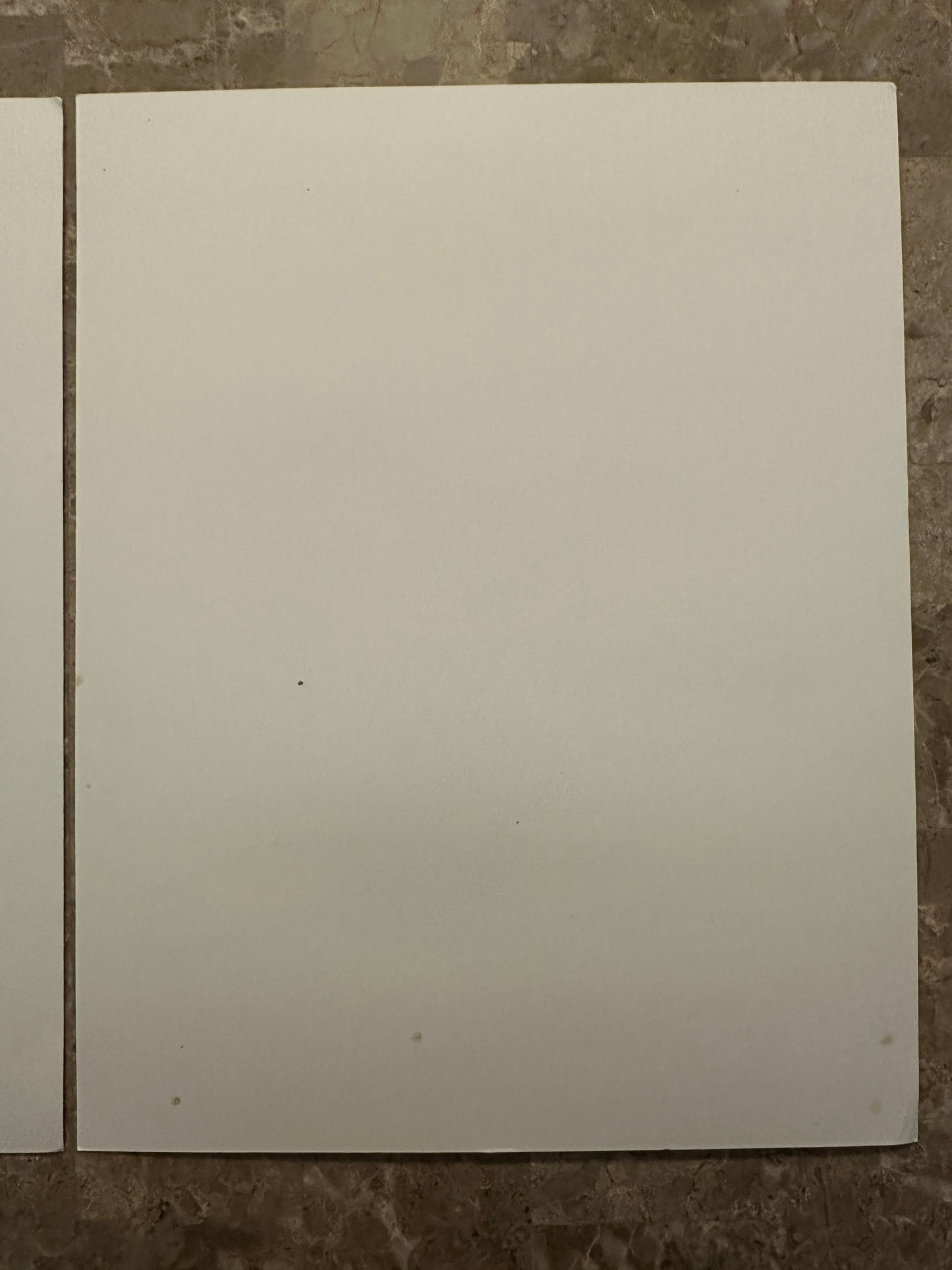 Spider-Gwen/Miles Morales Custom Art Prints - Denzell Draws