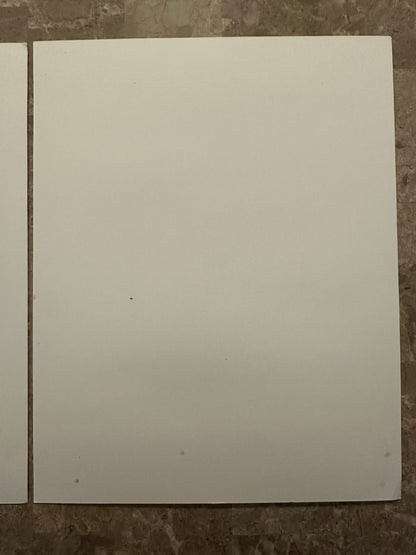 Spider-Gwen/Miles Morales Custom Art Prints - Denzell Draws