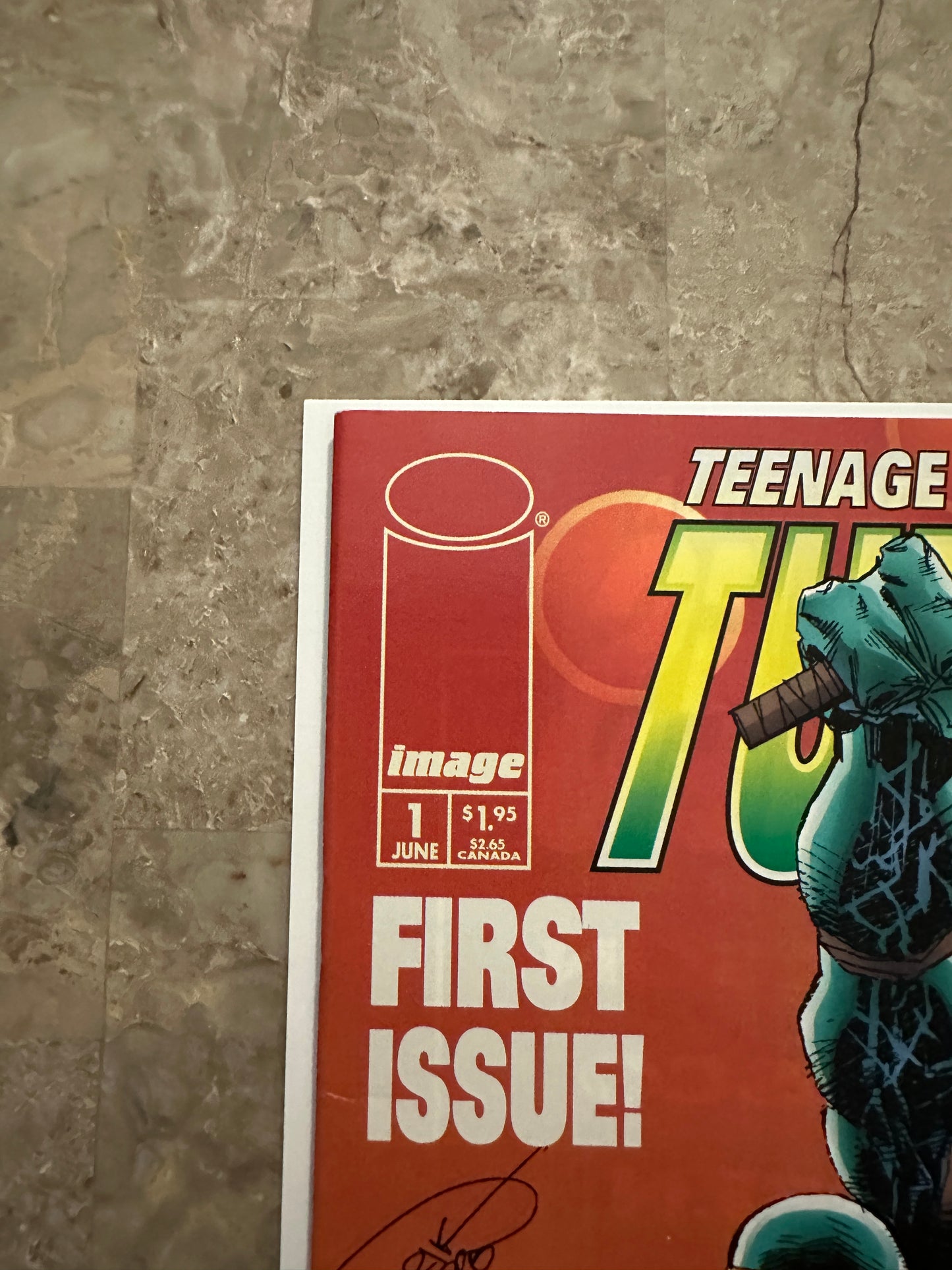 Teenage Mutant Ninja Turtles #1 VF- 7.5 (1996 Image Comics)