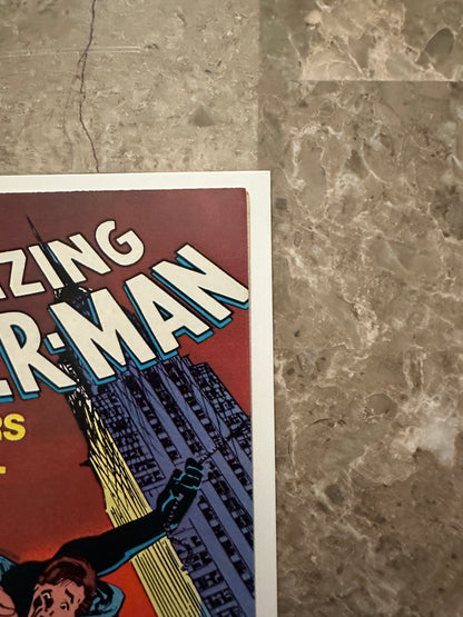 Amazing Spider-Man #252 Newsstand VF 8.0 (Marvel Comics 1984)