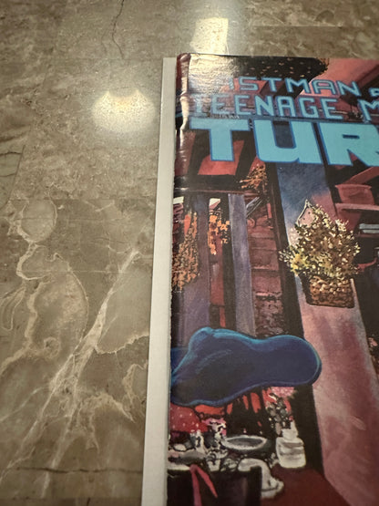 Teenage Mutant Ninja Turtles #23 FN 6.0 (1989 Mirage Studios)