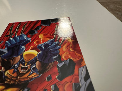 Wolverine #14 (1995 Fleer DC vs. Marvel) - High grade