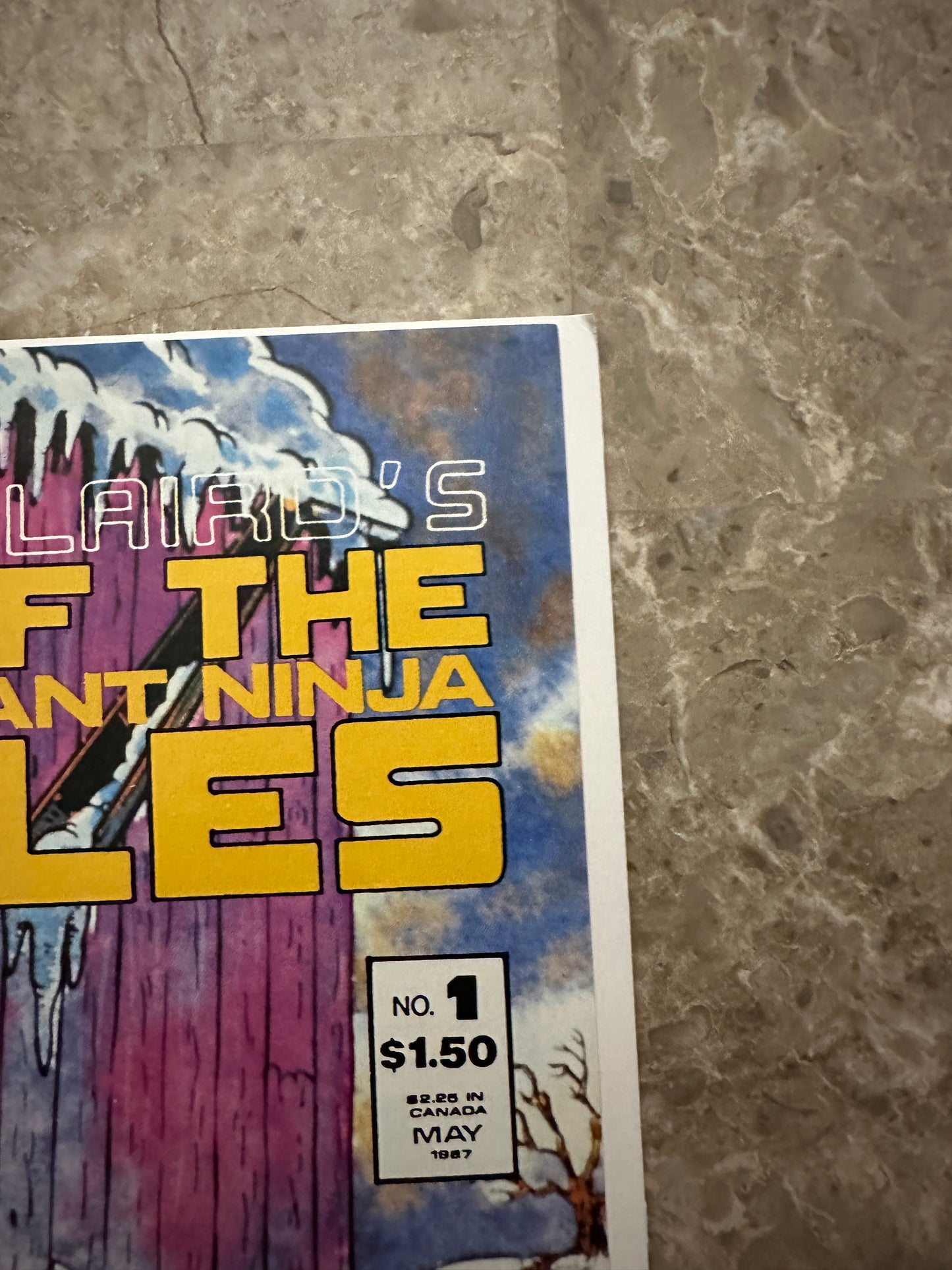 Tales of the Teenage Mutant Ninja Turtles #1 VF+ 8.5 (1987 Mirage Studios)