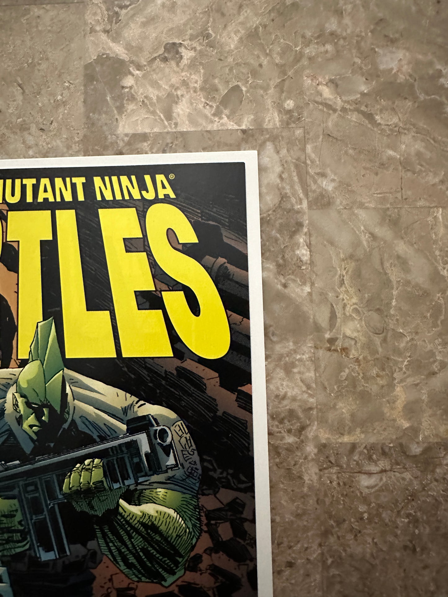 Teenage Mutant Ninja Turtles #10 VF 8.0 (1996 Image Comics)